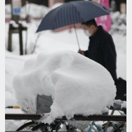15日 東京の様子/(C)日刊ゲンダイ