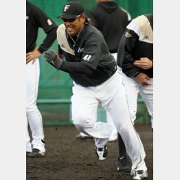 「毎朝、起きるのが怖い」という稲葉/(C)日刊ゲンダイ
