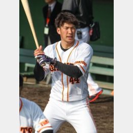 厳しい立場は変わらない/(C)日刊ゲンダイ