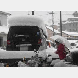 2月15日の東京郊外/(C)日刊ゲンダイ