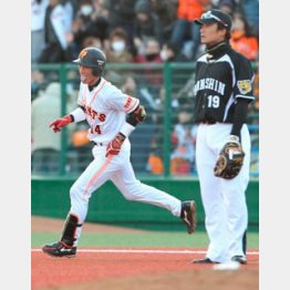 新人小林は初本塁打/(C)日刊ゲンダイ