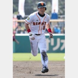 本領発揮/(C)日刊ゲンダイ