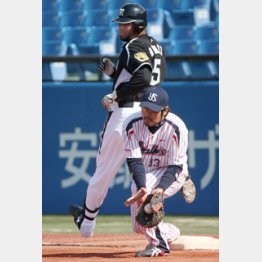 内野安打2本デビュー/(C)日刊ゲンダイ