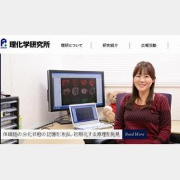 理化学研究所HPから
