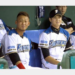 (C)日刊ゲンダイ