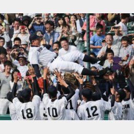 アルプススタンドの応援団を前に胴上げする平安ナイン/(C)日刊ゲンダイ