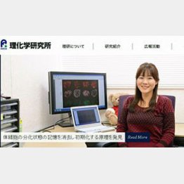 理化学研究所のHPから