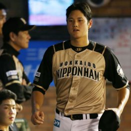 アブハチ取らず/(C)日刊ゲンダイ