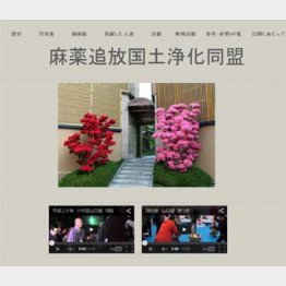 山口組のHPから
