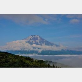 旅番組は旅情を誘う/(C)日刊ゲンダイ