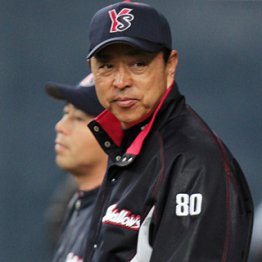 小川監督、手の打ちようがない/(C)日刊ゲンダイ