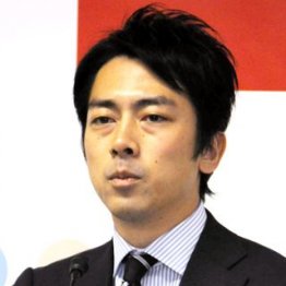 投票日まで連日投入/(C)日刊ゲンダイ