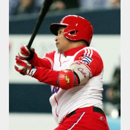 WBCでも主軸打者として活躍した/(C)日刊ゲンダイ
