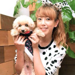 いまやデザイナー兼社長/(C)日刊ゲンダイ
