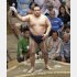 ３連勝の鶴竜／（Ｃ）日刊ゲンダイ