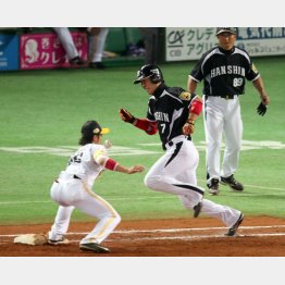 日本シリーズは西岡の一塁守備妨害でジ・エンド／（Ｃ）日刊ゲンダイ