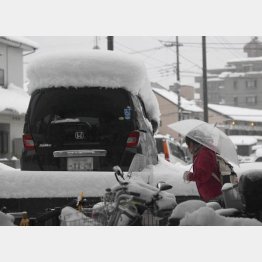 降雪量が減り…／（Ｃ）日刊ゲンダイ