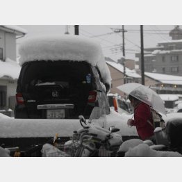 2月15日東京に記録的大雪／（Ｃ）日刊ゲンダイ