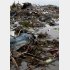 ３・１１大地震のときの東北被害／（Ｃ）日刊ゲンダイ