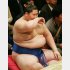 １２日は稀勢の里に圧勝した逸ノ城（Ｃ）日刊ゲンダイ