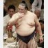 春場所８日目は照ノ富士を寄り切った（Ｃ）日刊ゲンダイ