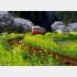 ディーゼル車に揺られながら（写真提供：小湊鉄道）