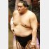 照ノ富士は２場所連続優勝もありそう（Ｃ）日刊ゲンダイ