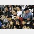 試合中はスピードガン片手に真剣な表情（Ｃ）日刊ゲンダイ