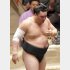 9月場所も無念の休場を決めた日馬富士（Ｃ）日刊ゲンダイ
