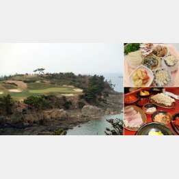 「韓一館」のアワビ海鮮料理（右上）と「忍冬草マウル」食堂のエイ、豚肉料理（提供写真）