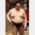 渾身の相撲で照ノ富士を突破も…（Ｃ）日刊ゲンダイ
