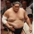 “優勝同点”の照ノ富士（Ｃ）日刊ゲンダイ