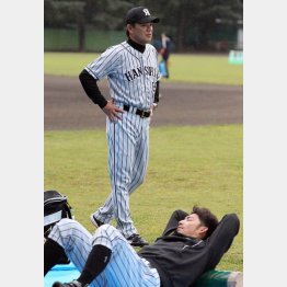 和田監督は「残り試合に全力を尽くす気持ちに変わりはない」と言うが（Ｃ）日刊ゲンダイ