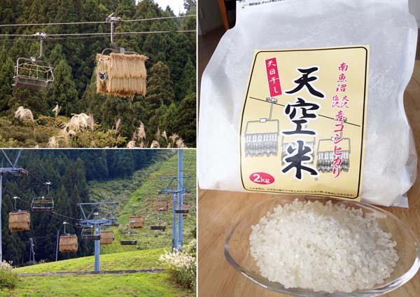 2ページ目)魚沼産“日本一うまい米”はスキーリフトの有効活用から誕生