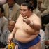 琴奨菊は無傷の５連勝（Ｃ）日刊ゲンダイ