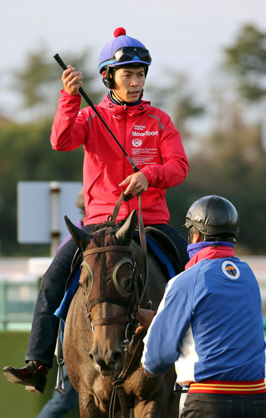 JRA競走馬「特大ぬいぐるみ」戸崎圭太ジョッキー直筆サイン入競馬グッズ