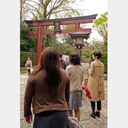 根津神社を参拝する“お散歩カフェコン”（Ｃ）日刊ゲンダイ