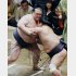 妙義龍を寄り切りで下した稀勢の里（Ｃ）日刊ゲンダイ