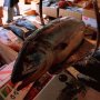 魚市場で初の電子商取引 「日本エンタープライズ」に注目