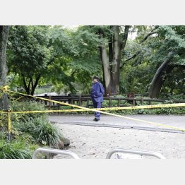 阿部さんの遺体が見つかった碑文谷公園