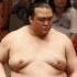 突き落としで敗れた稀勢の里（Ｃ）日刊ゲンダイ