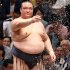 稀勢の里は綱取りが厳しくなった（Ｃ）日刊ゲンダイ