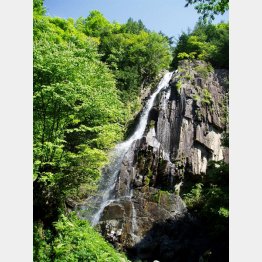 大倉滝（提供）高山市