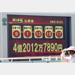 「WIN5」の最高配当額は今年8月に出た4億2000万円