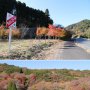 関東で最も“遅い”紅葉の名所 千葉県富津市のもみじロード