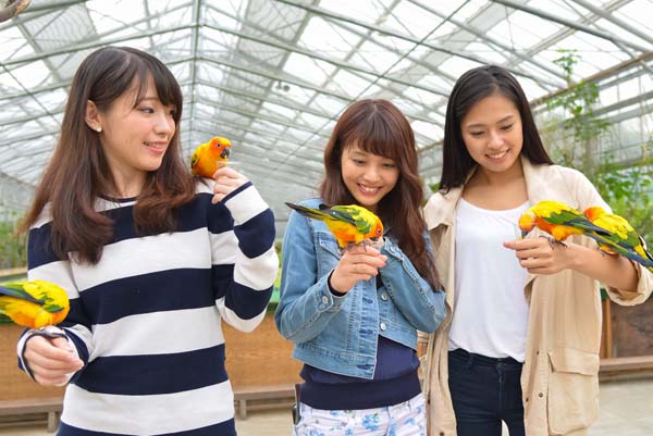 静岡県の「掛川花鳥園」／（提供写真）