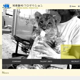 ネコかわいがりしすぎた?