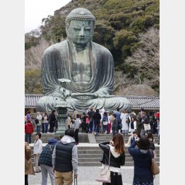 鎌倉といえば大仏様（Ｃ）日刊ゲンダイ