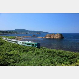 2位のリゾートしらかみ(JR東日本秋田支社提供)