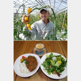 トマト農園（写真上）と季節のカレーセット／（提供写真）